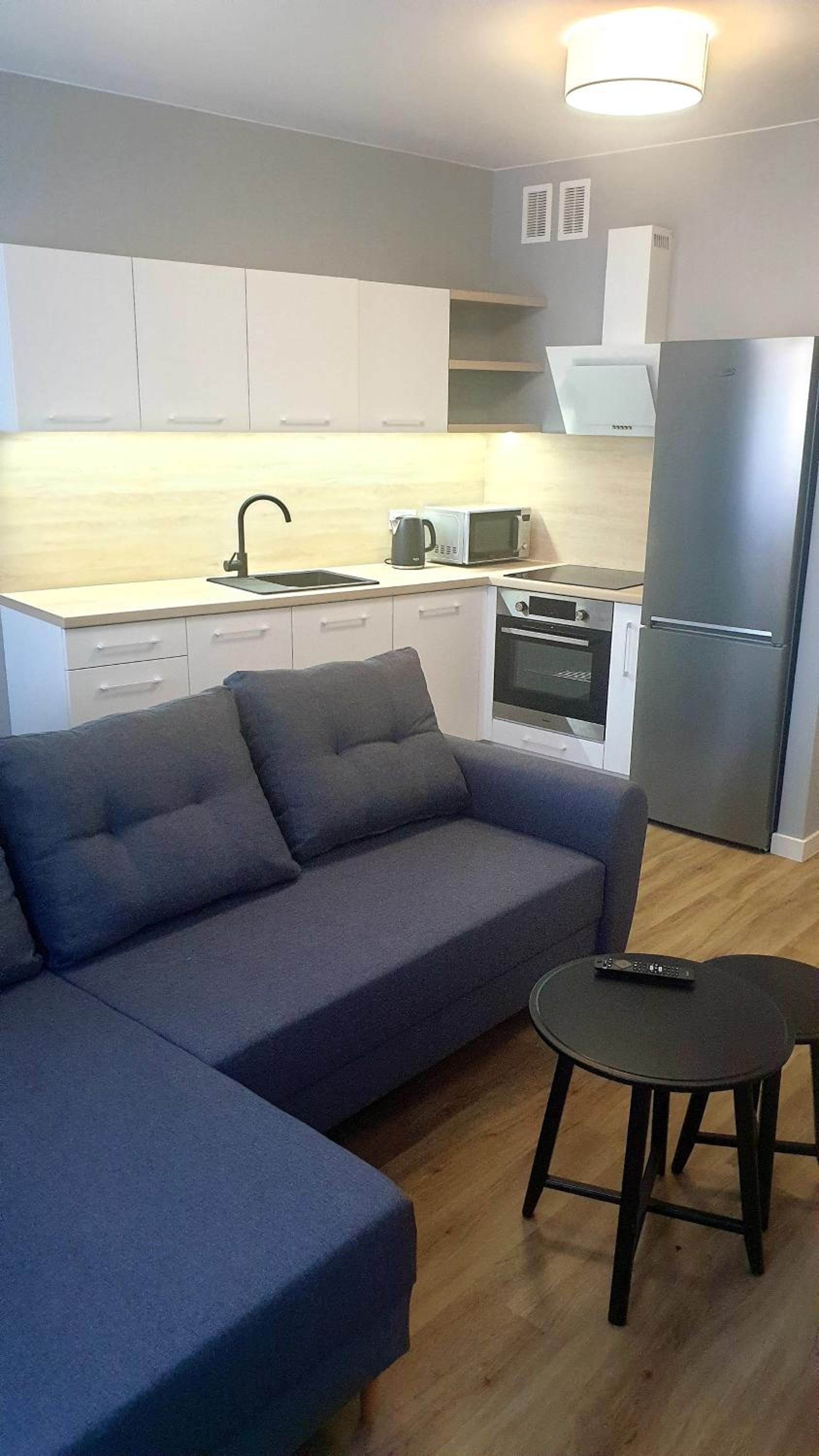 One-Bedroom Apartment photo 3