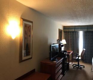King Suite - Non Smoking/No Pets - Photo 5