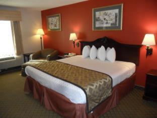 King Room with Mobility Access and Bathtub with Grab Bars, Non-Smoking - Photo 2