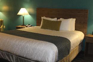 King Room with Roll-in Shower - Disability Access/Non-Smoking photo 2