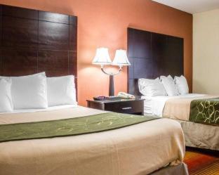 2 Double Beds, Smoking - Photo 7