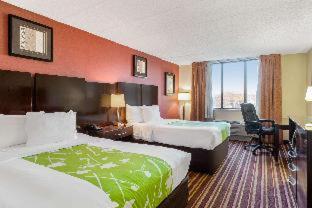 King Room photo 1