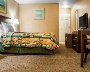 Efficiency Double Room with Two Double Beds - Smoking