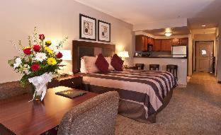 Junior King Suite with Sofa Bed
