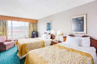 2 Double Bed, Pet-Friendly, Non-Smoking photo 2