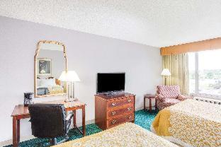 2 Double Bed, Pet-Friendly, Non-Smoking photo 3