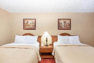 Deluxe Queen Room with Sofa Bed - Non-Smoking - Photo 5