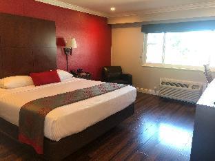 1 King Bed, Mobility Access Room, Stand Up Shower Only w/ Grab Bars, Non-Smoking - Photo 2