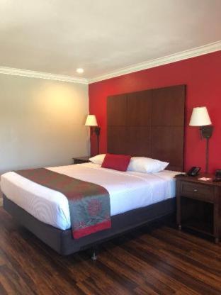 1 King Bed, Mobility Access Room, Stand Up Shower Only w/ Grab Bars, Non-Smoking - Photo 5