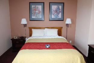 King Suite - Non-Smoking - Photo 1