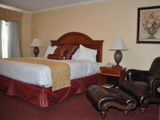 King Suite with Spa Bath and Fireplace - Non-Smoking - Photo 5