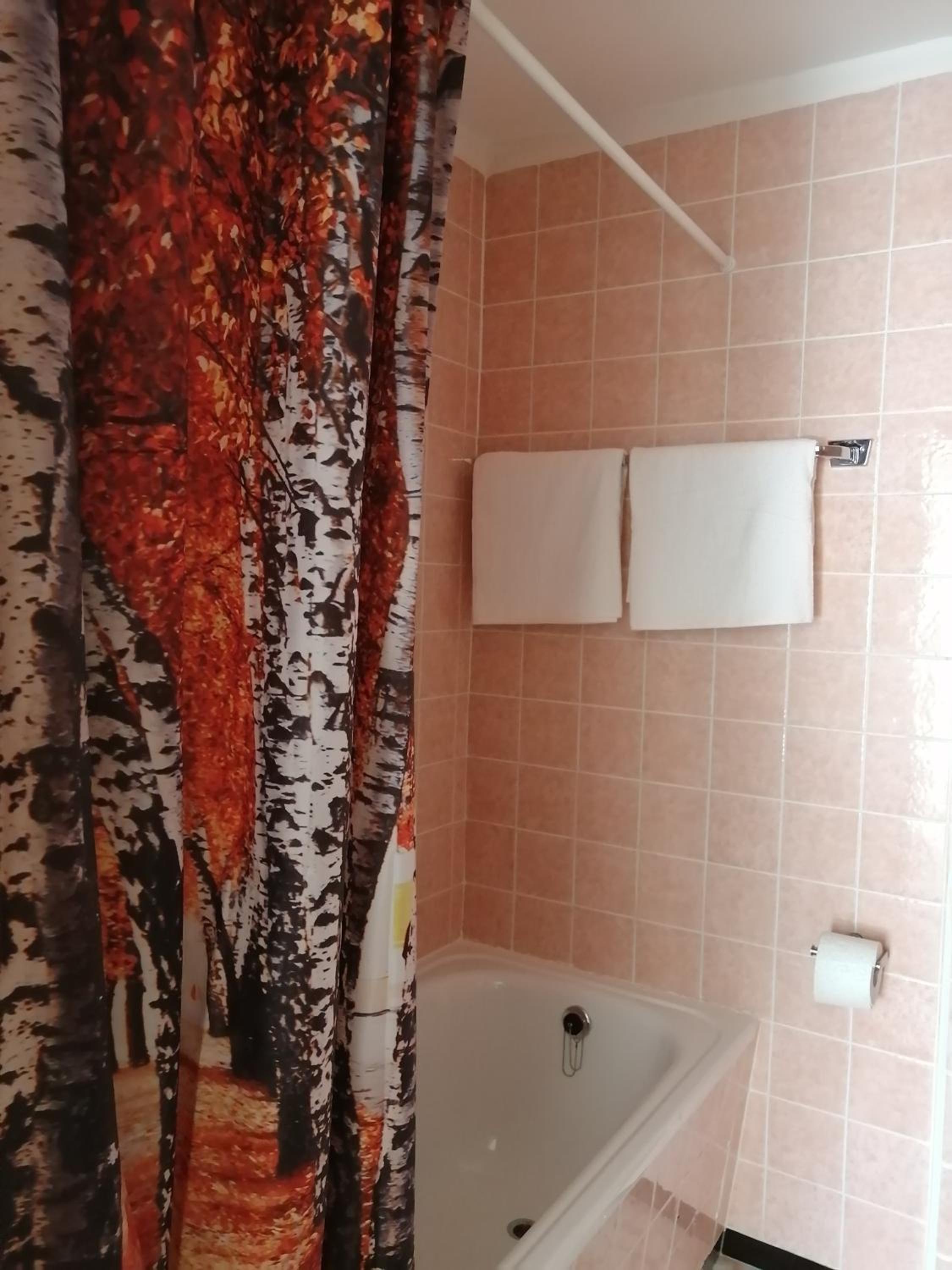 Standard Double or Twin Room with Balcony photo 3