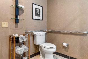 VIP King Suite - Non-Smoking - Photo 17