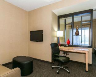 VIP King Suite - Non-Smoking - Photo 13