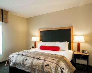 One King Bed One-Bedroom Accessible Corner Suite - Non-Smoking - Photo 3