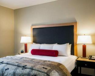 One King Bed One-Bedroom Accessible Corner Suite - Non-Smoking - Photo 17