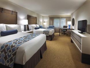 Superior Queen Room photo 1