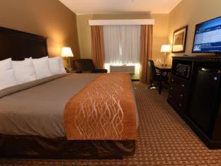 One-Bedroom Suite with Three Queen Beds and Kitchen - Non-Smoking - Photo 5