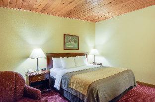 Standard Double Room with Two Double Beds - Non Smoking - Photo 10
