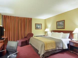 Standard Double Room with Two Double Beds - Non Smoking - Photo 3