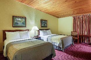 Standard King Room - Non Smoking - Photo 5