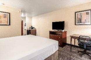 Suite with Lake View - Photo 2