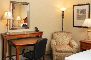 Premium Room, with 2 California King Beds - Disability Accessible