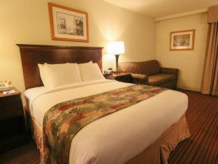 Exterior Queen Room with Four Queen Beds - Non-Smoking photo 1