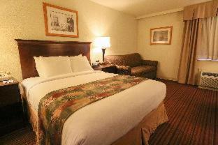 Exterior Queen Room with Four Queen Beds - Non-Smoking photo 3
