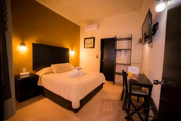 King Room photo 1
