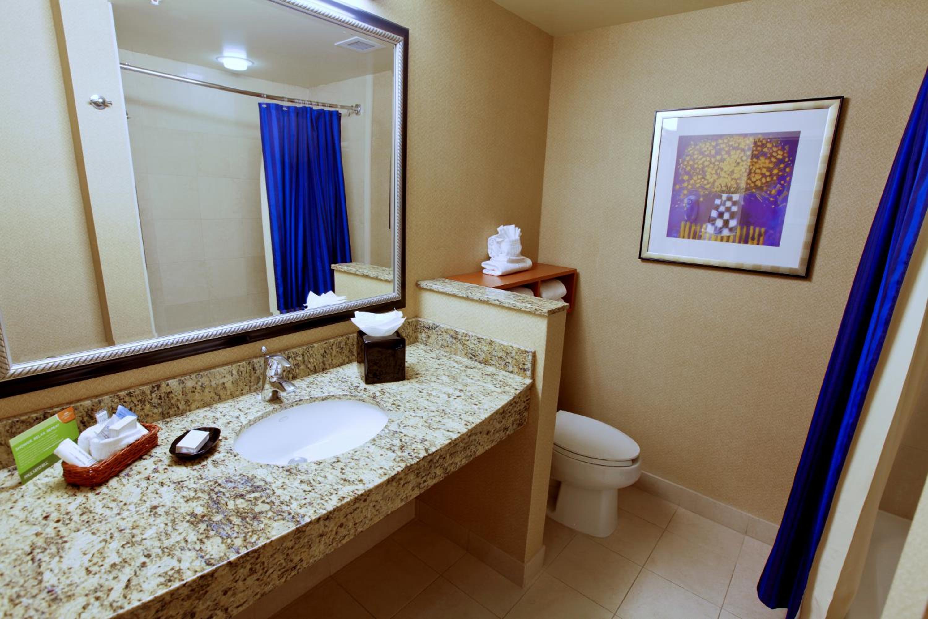 King Room with Sofa Bed - Hearing Accessible