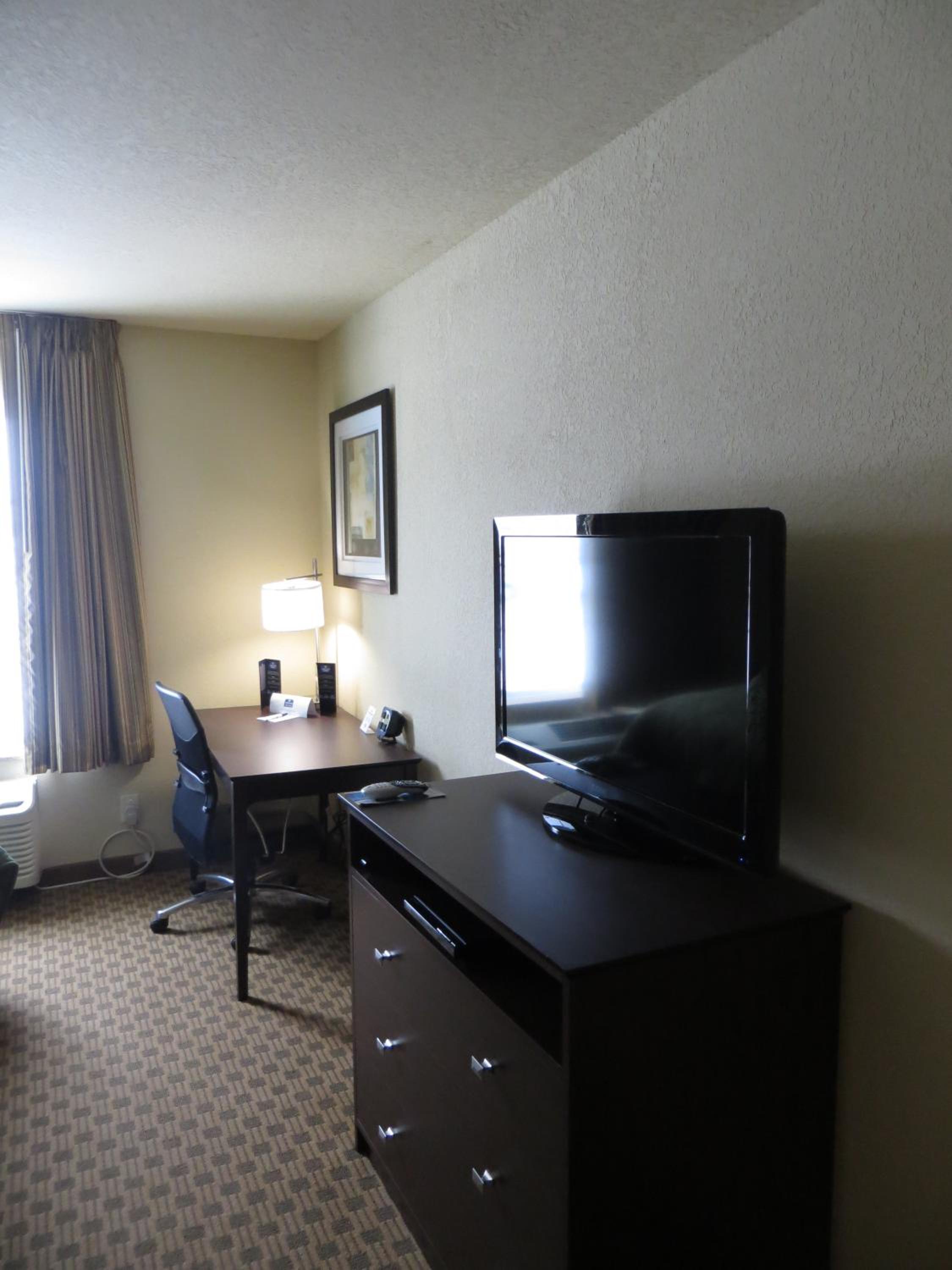 King Room photo 3