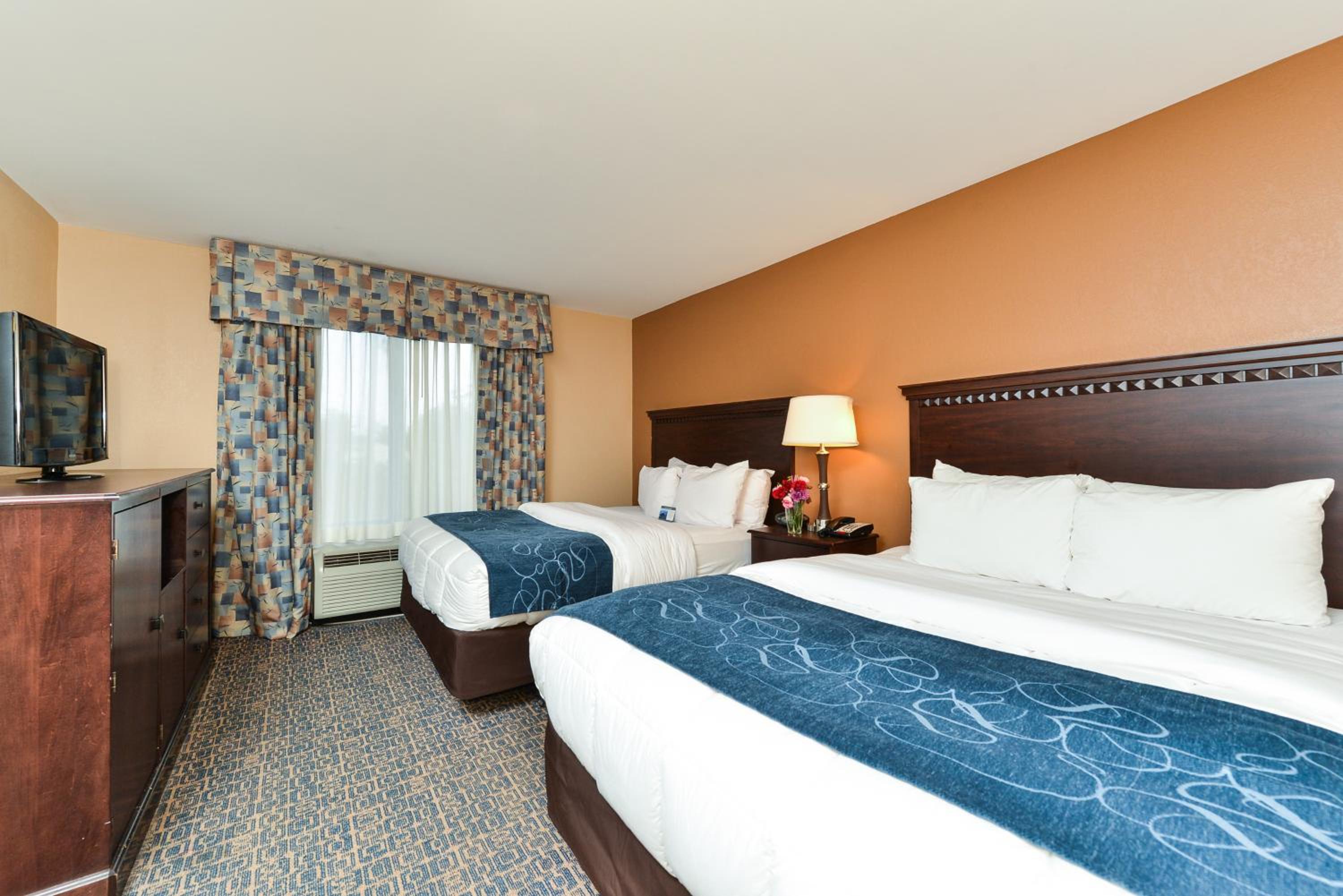 Queen Suite - Photo 9