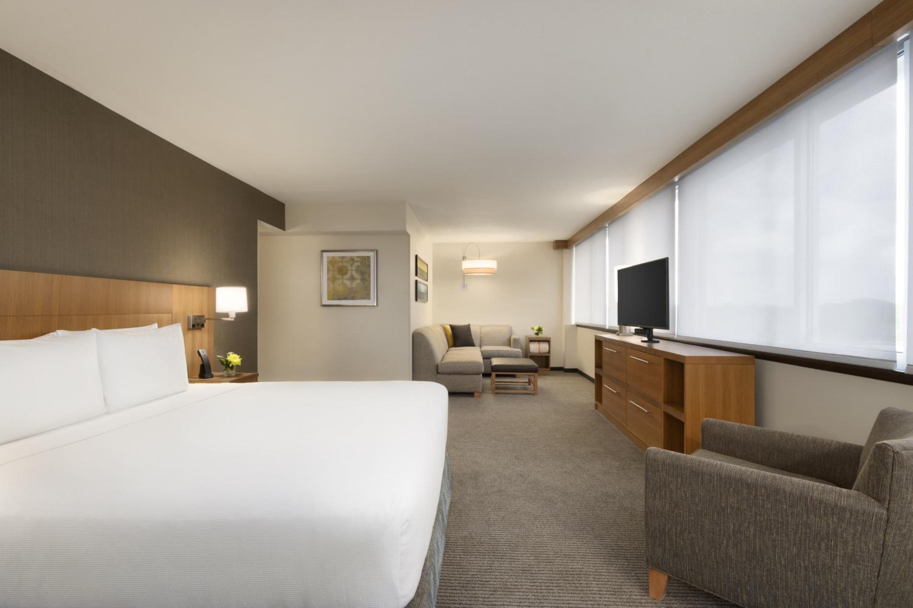 King Suite With Sofa Bed - Mobility Accessible - Photo 1
