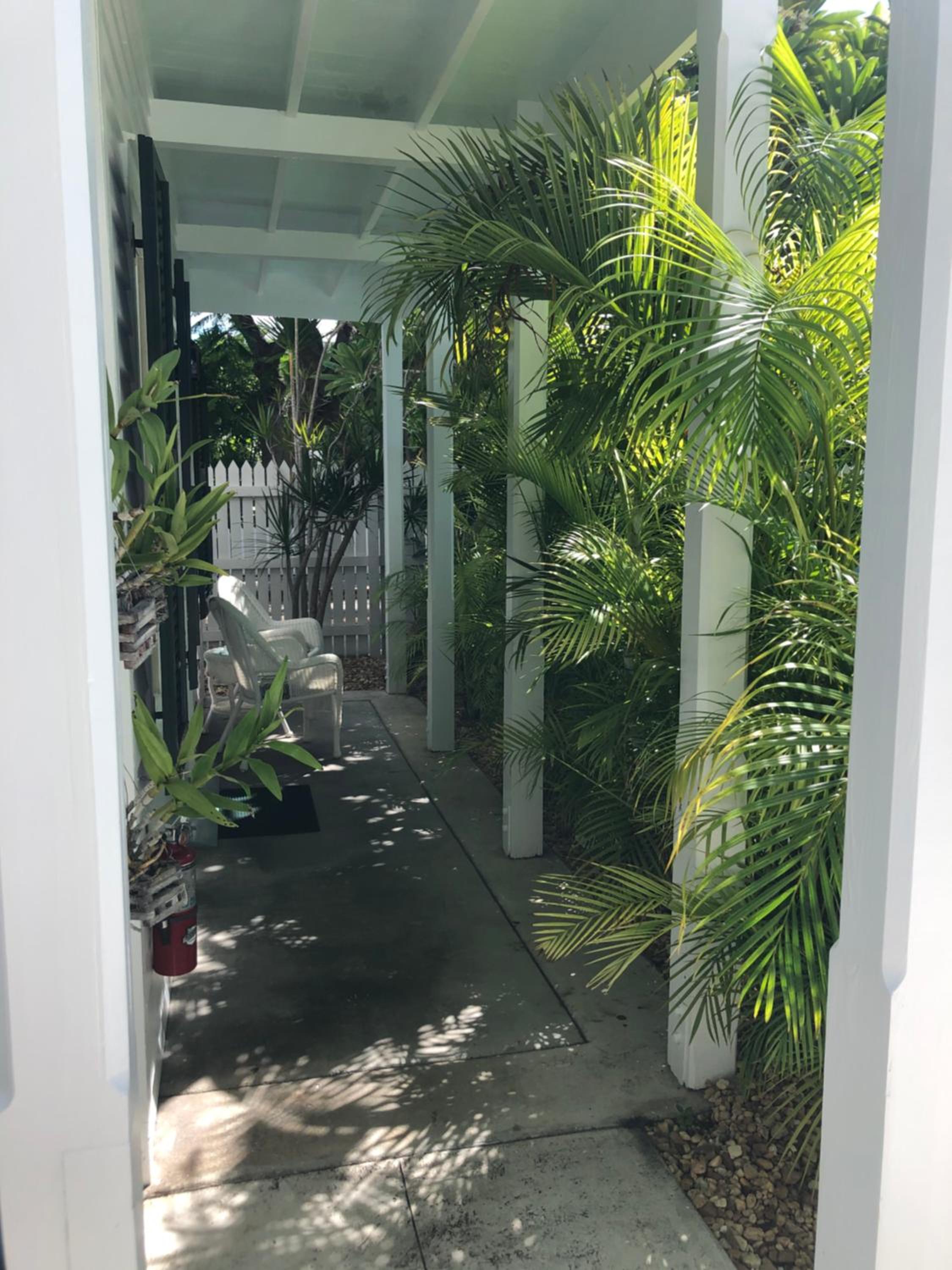 Caribbean photo 2