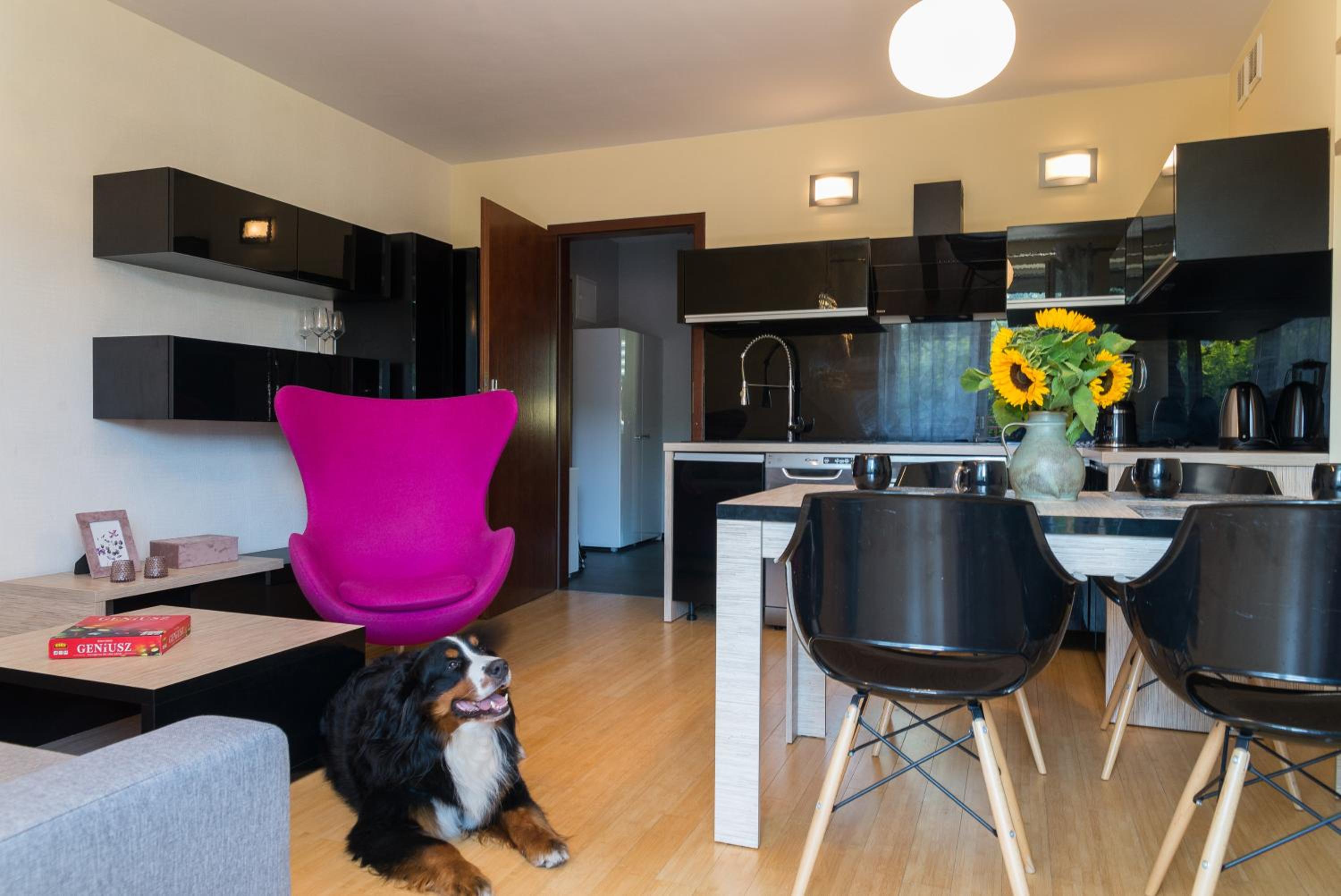 Apartment with Balcony - Photo 19