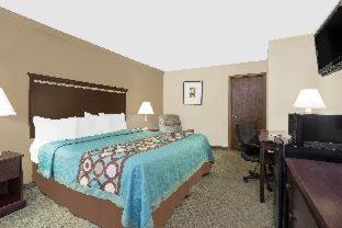 1 King Bed, Pet-Friendly Room, Non-Smoking - Photo 2