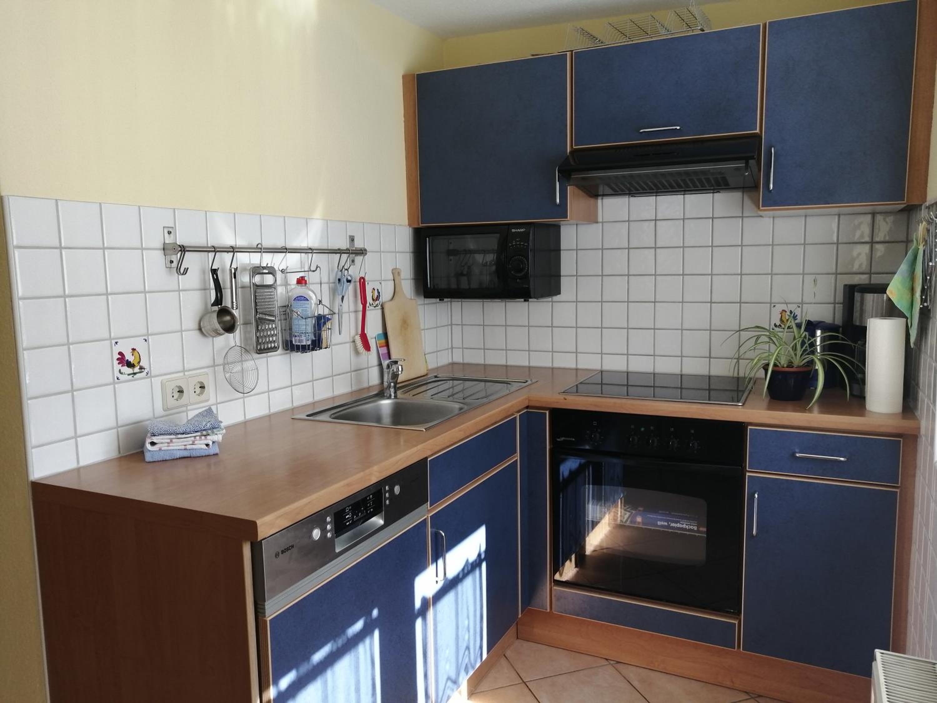 Apartment - Ground Floor photo 3
