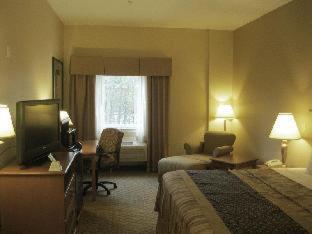 King Suite with Sofa and Roll-In Shower - Mobility Accessible - Photo 5