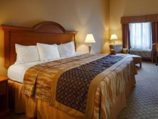 King Suite with Sofa and Roll-In Shower - Mobility Accessible - Photo 3