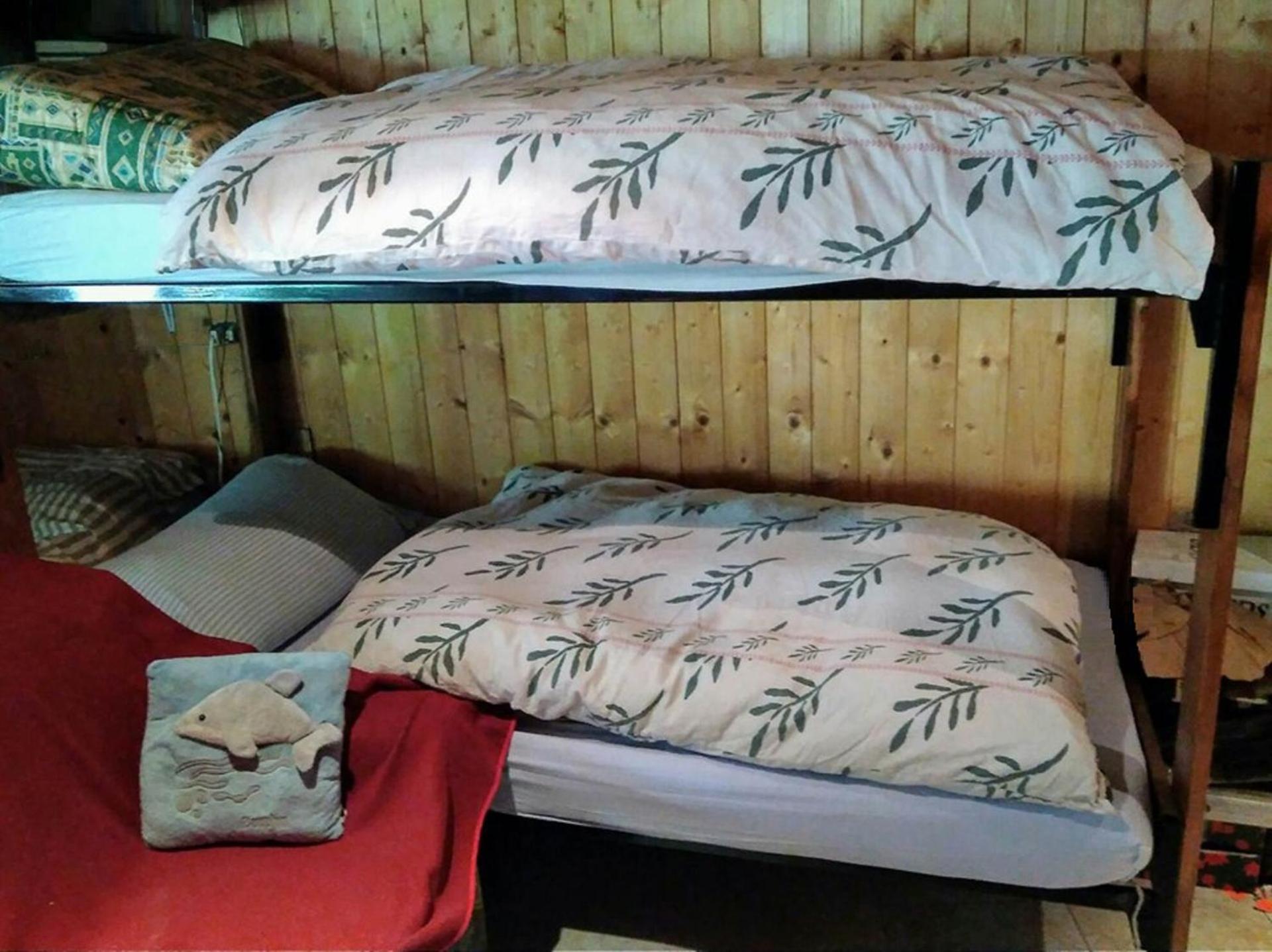 Bunk Bed in Mixed Dormitory Room photo 1