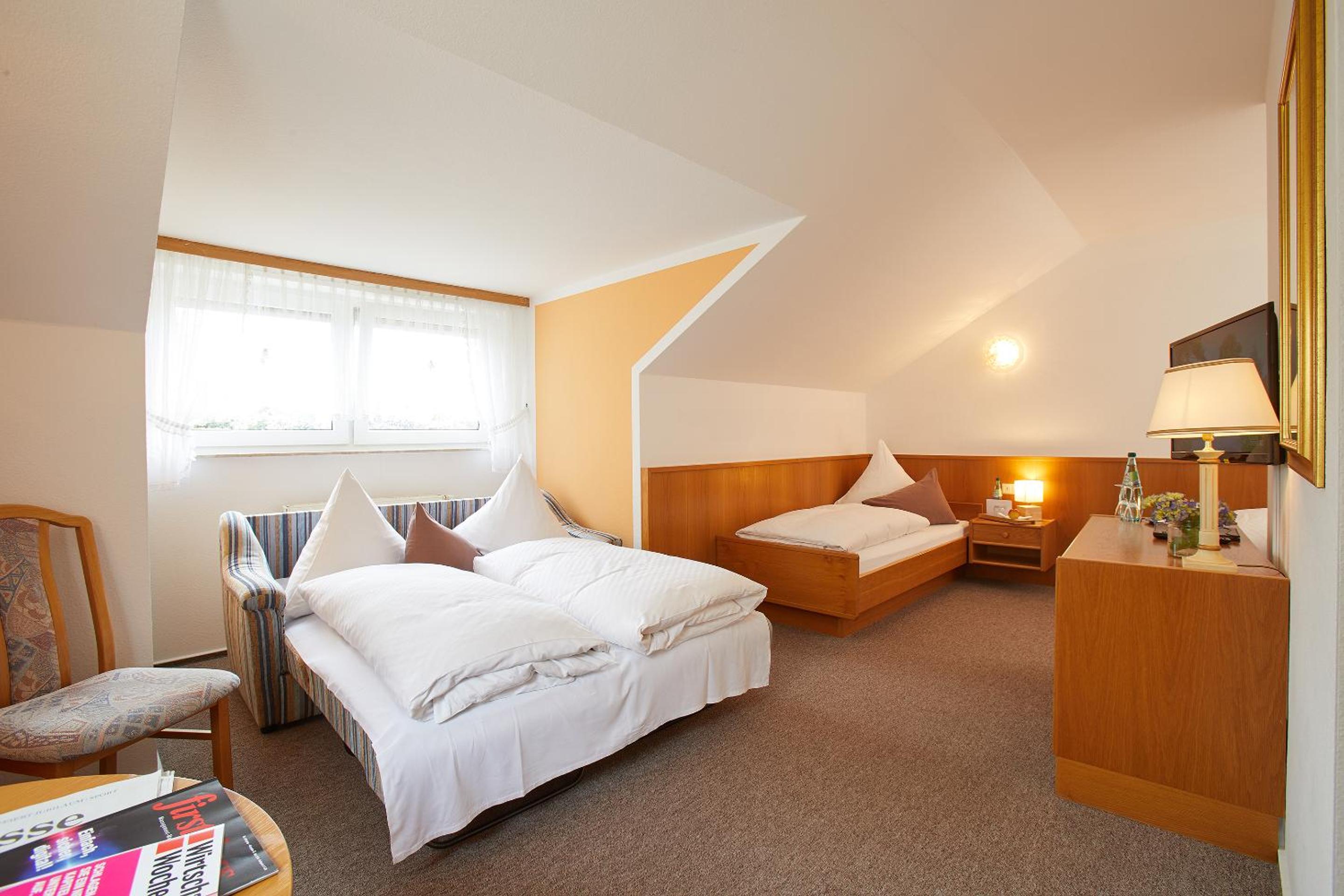 Large Twin Room photo 2