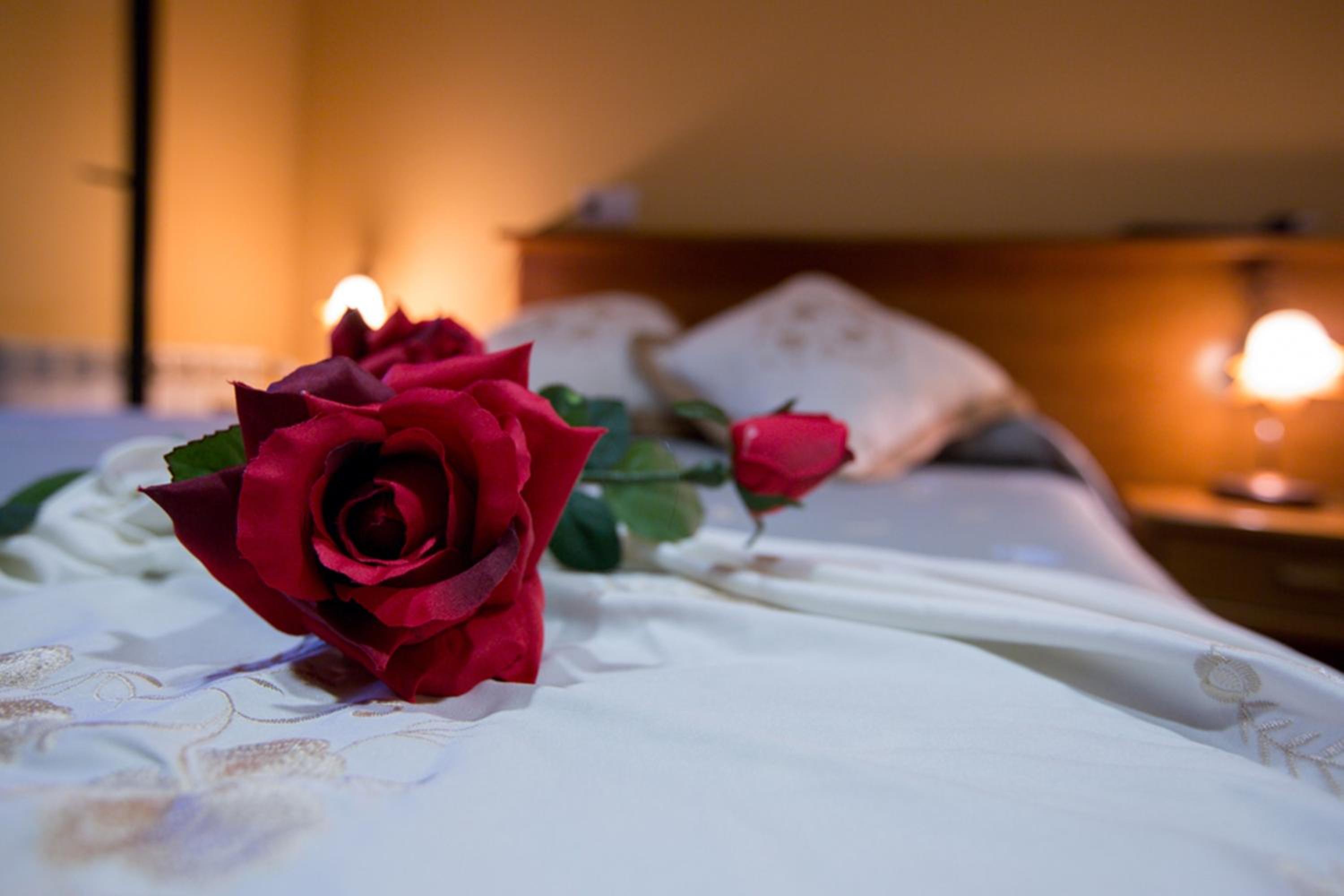 Double or Twin Room - Photo 1