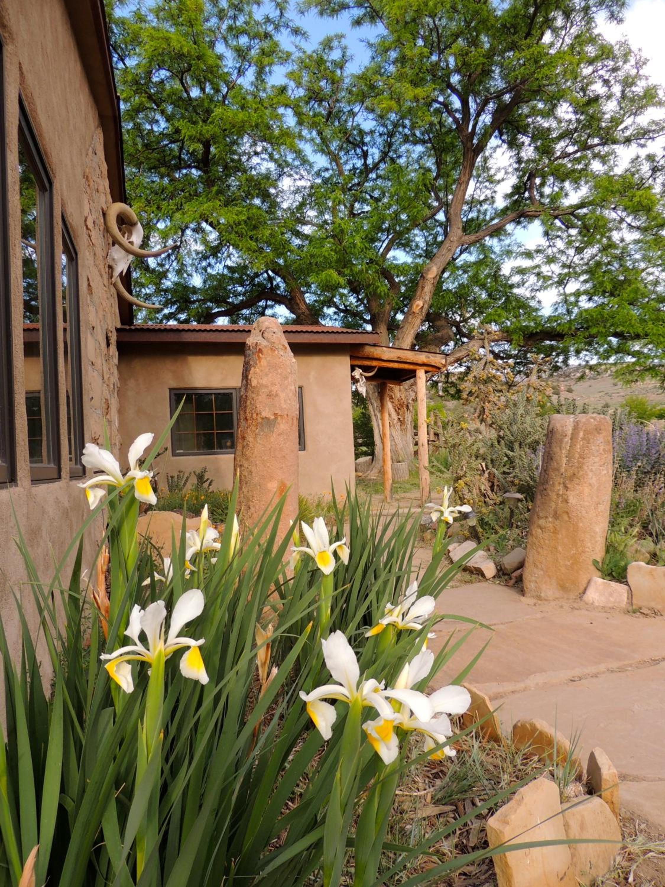Three-Bedroom Home - Photo 9