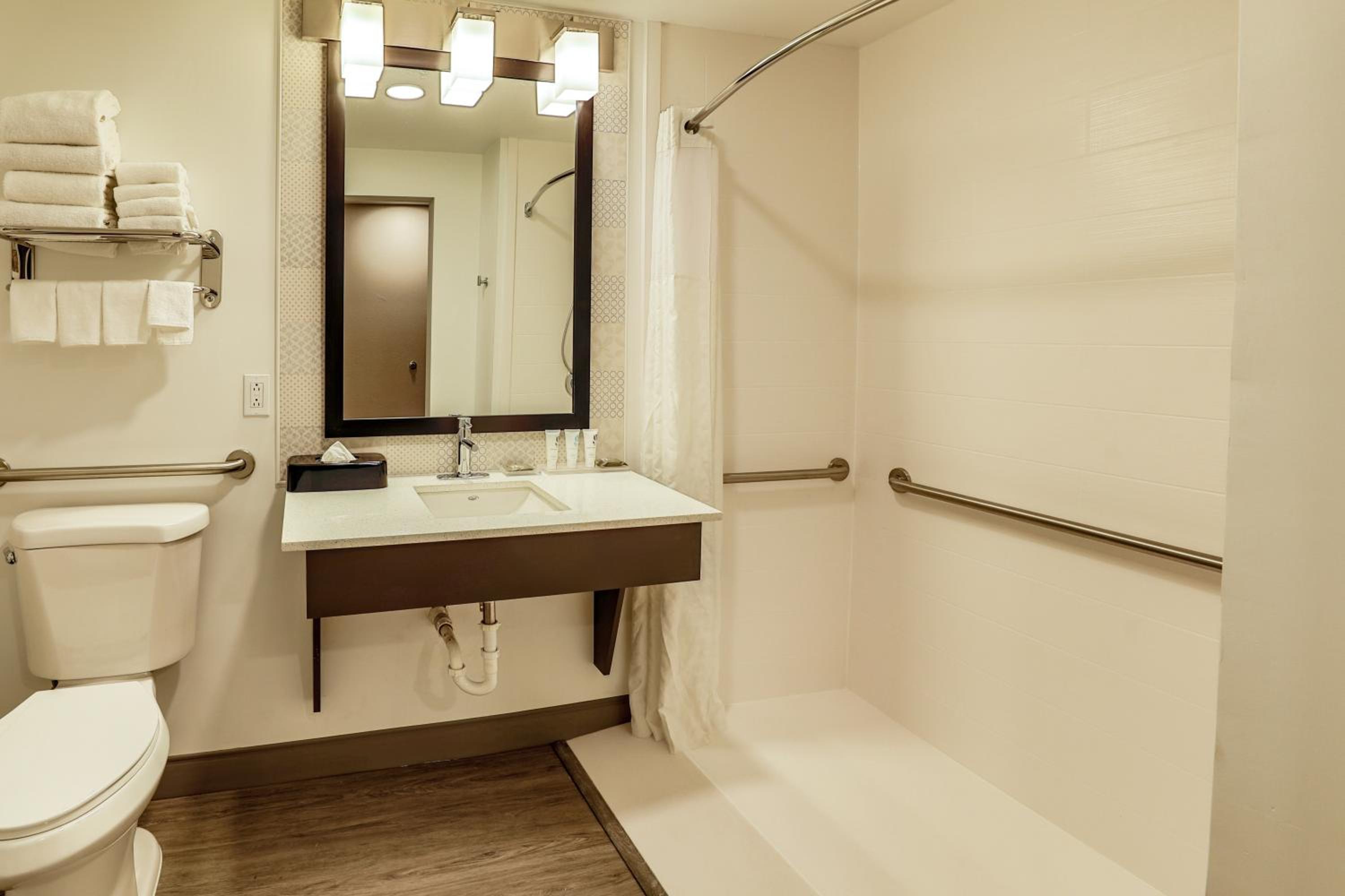 King Suite - Disability Access/Non-Smoking - Photo 8