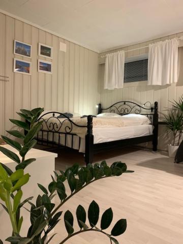 One-Bedroom Villa