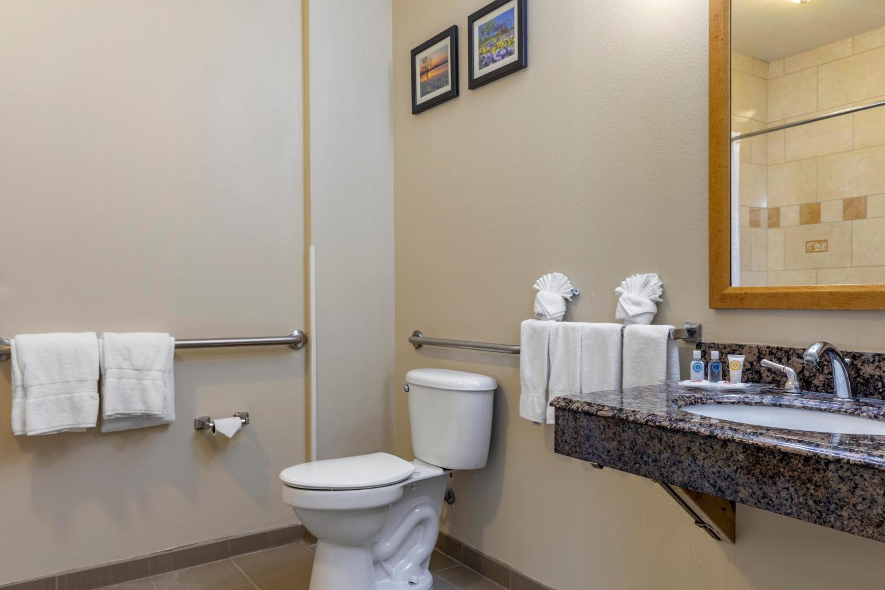 King Suite - Accessible/Non-Smoking - Photo 9
