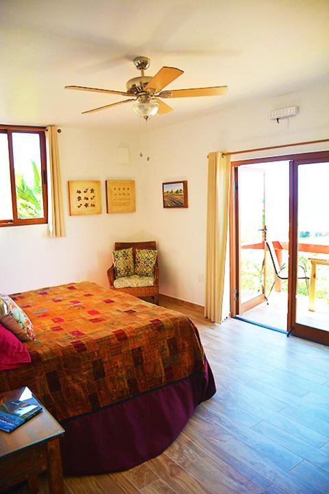 Deluxe Double or Twin Room with Ocean View