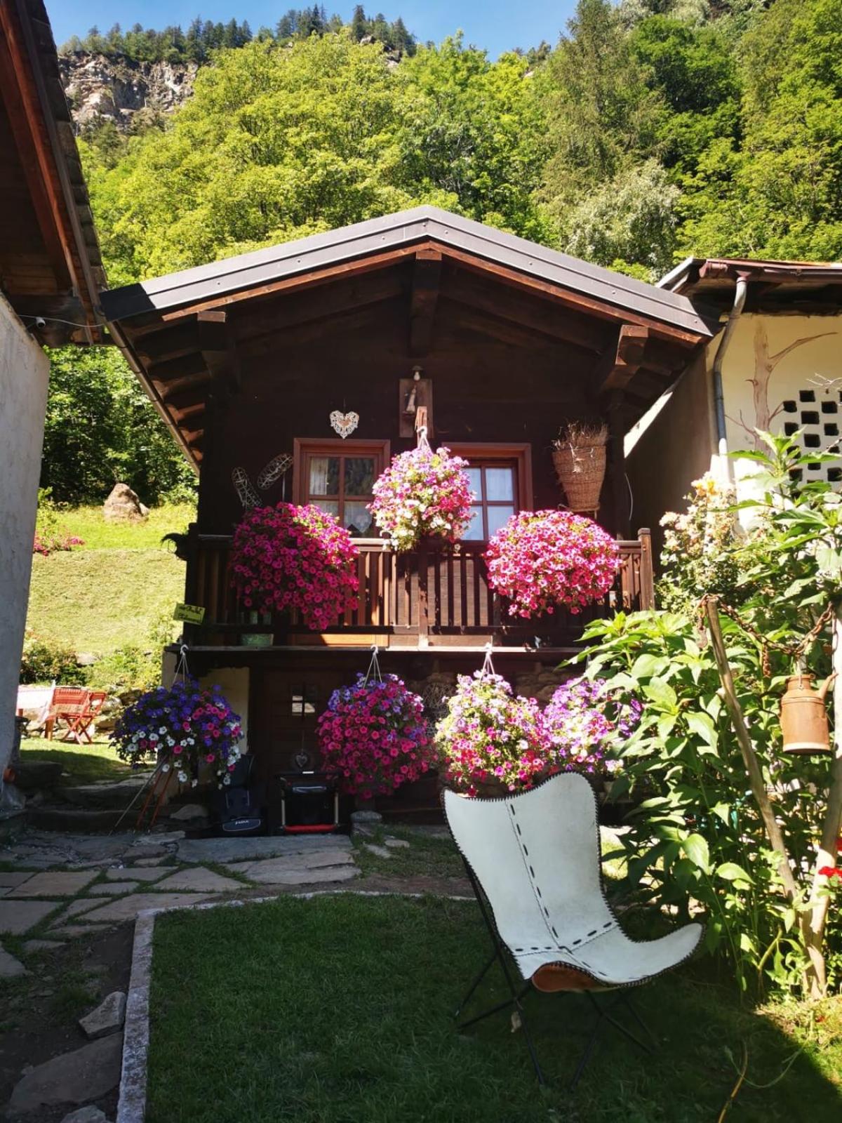 Two-Bedroom Chalet - Separate Building photo 2