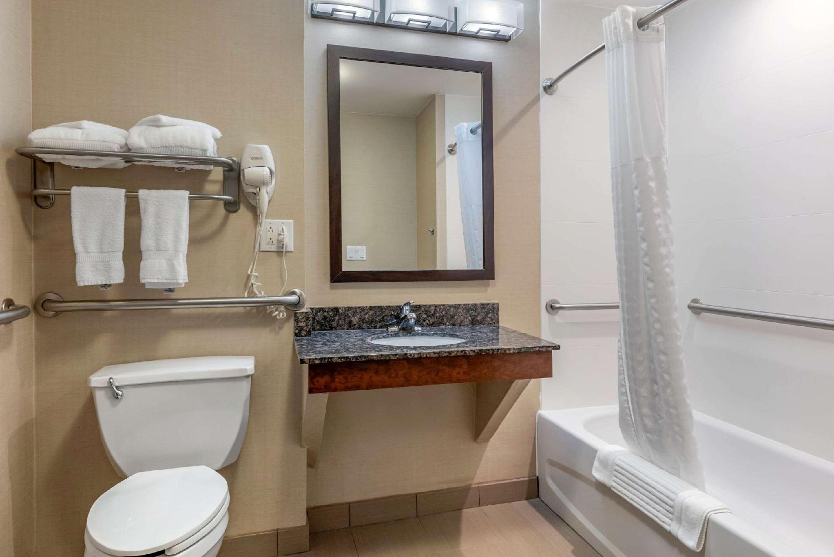 Queen Suite Room Accessible Bathtub - Non Smoking - Photo 4